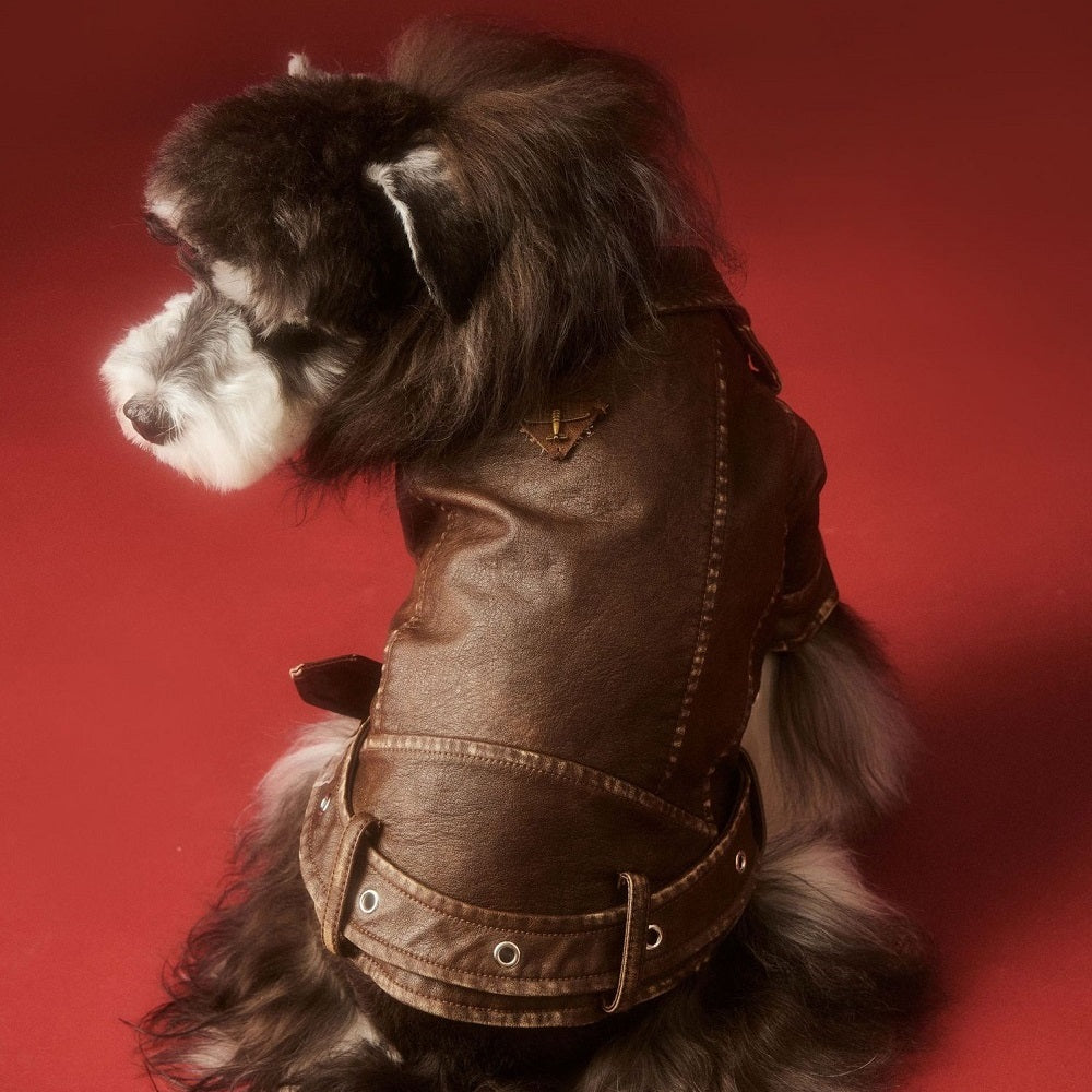 Aviator Pup Dog Leather Jacket