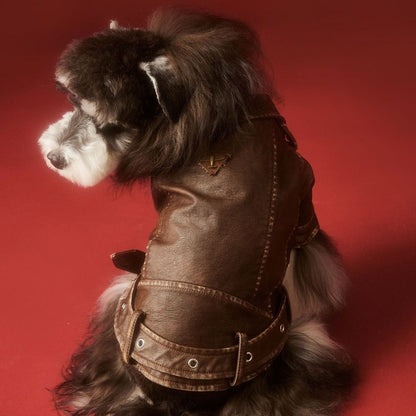 Aviator Pup Dog Leather Jacket