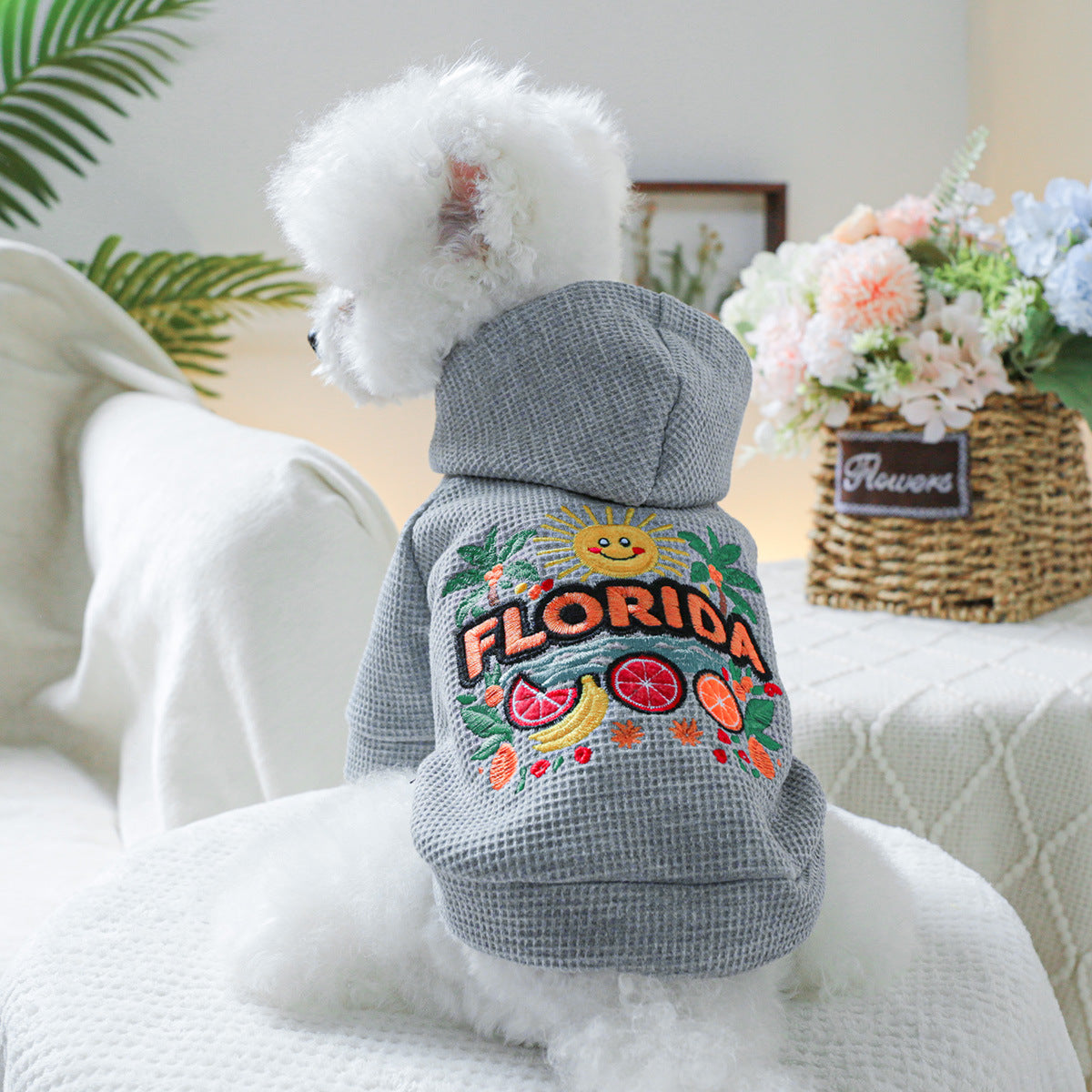 Florida Sunshine Dog Hoodie