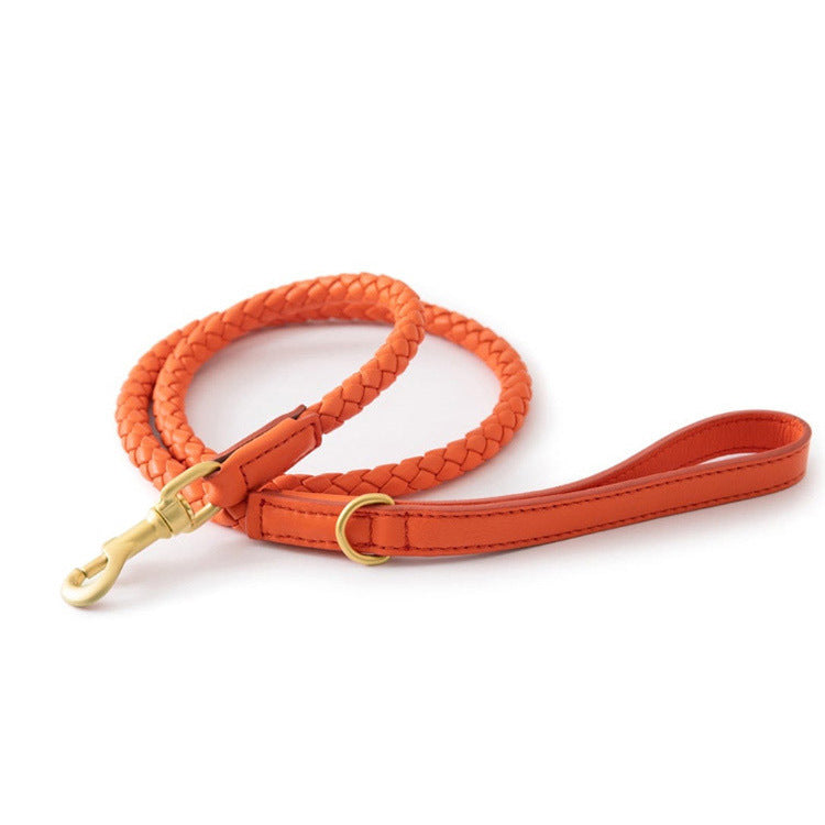 Luxury Braided Leather Dog Collar+Leash Set – Eco-Friendly, Durable, Stylish