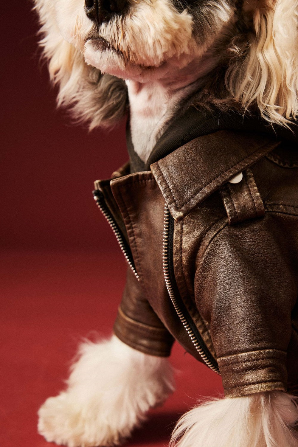 Aviator Pup Dog Leather Jacket