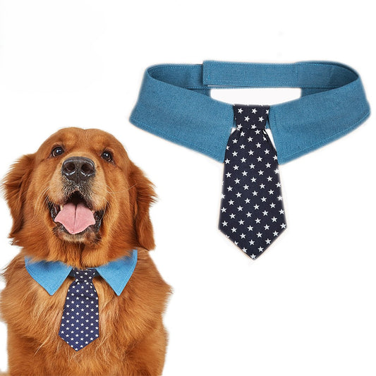 Golden Retriever wearing patriotic blue dog tie collar with navy star print necktie for holiday photos and special occasions