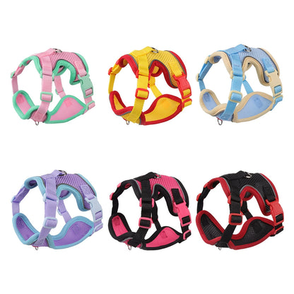 kitten harness with leash