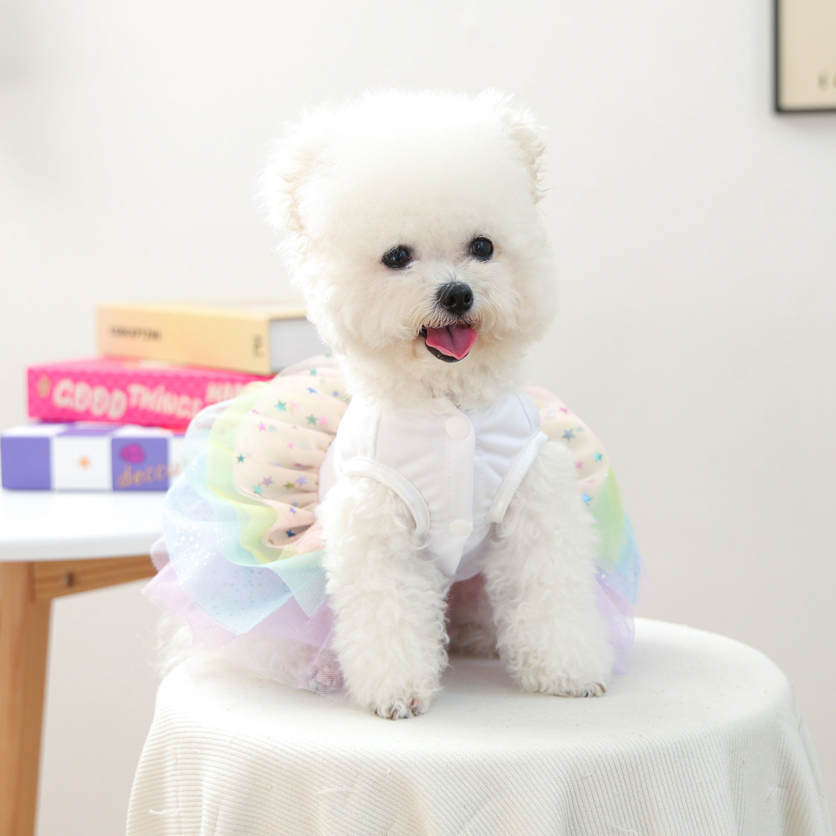Small white dog wearing white Happy Birthday pet dress with pastel rainbow tulle skirt front view