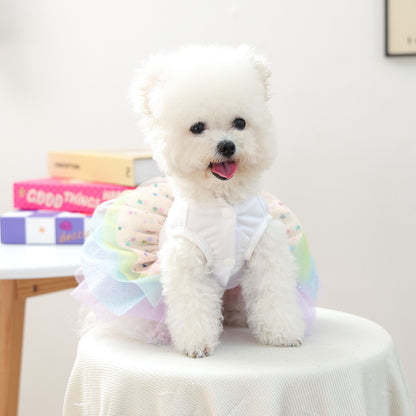 Small white dog wearing white Happy Birthday pet dress with pastel rainbow tulle skirt front view