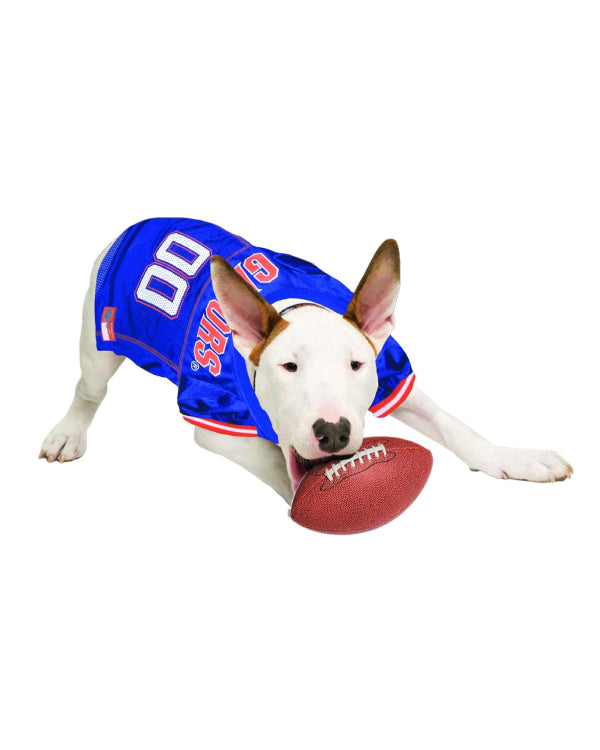 Dog Jersey College Florida Gators
