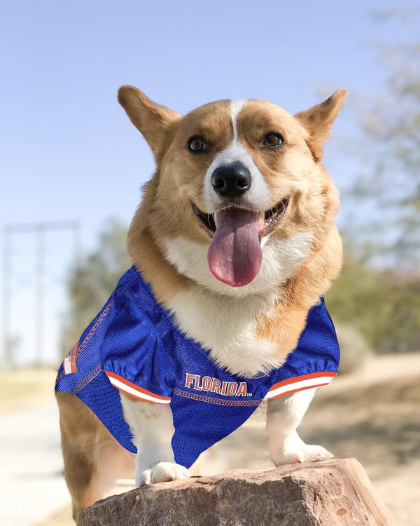 Dog Jersey College Florida Gators