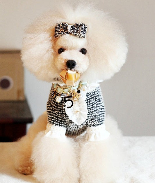 Ribbon Chain Pet Necklace with Charms & Bow