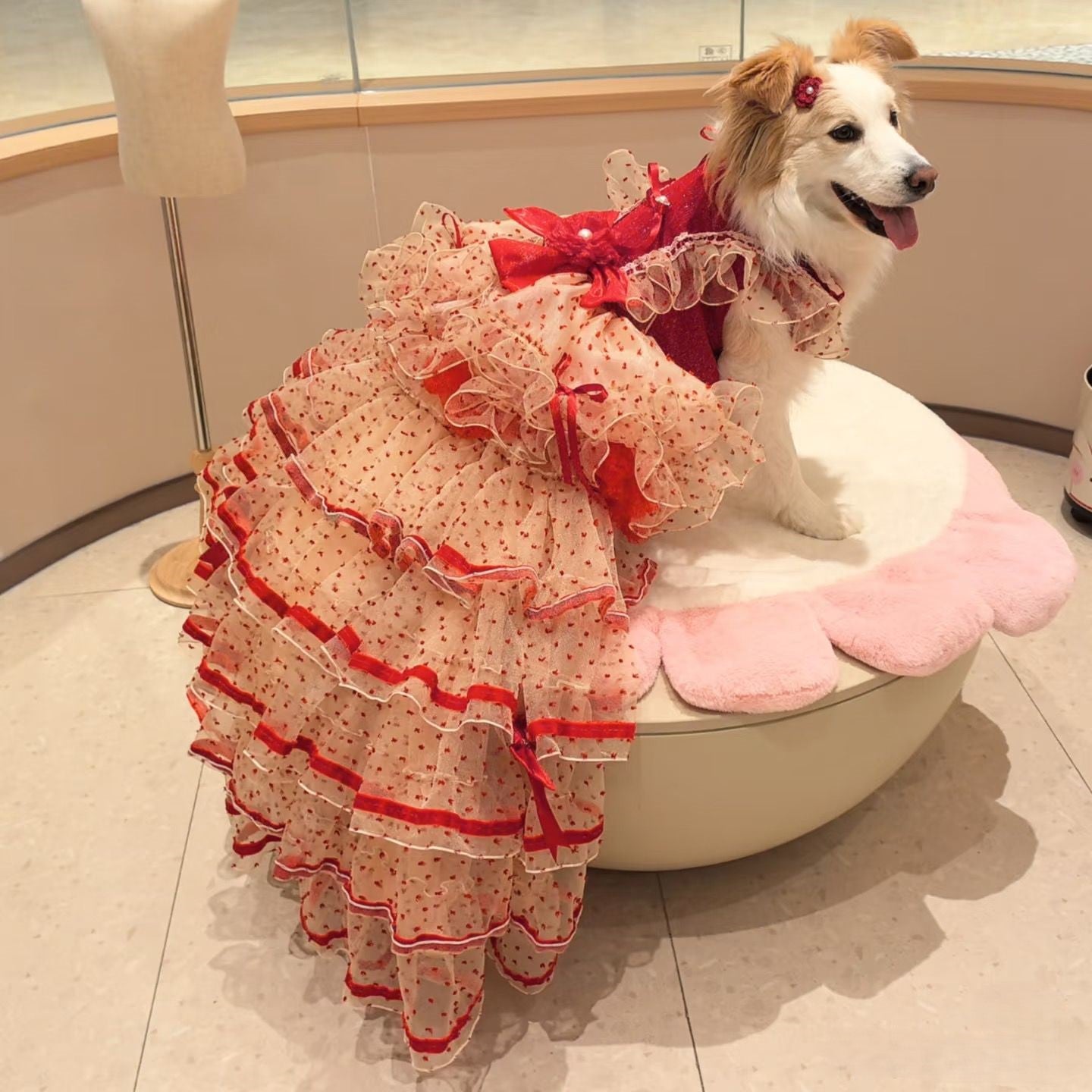 Luxury Red Ivory Pet Wedding Gown with Long Train boutique pet outfit detail photo 1
