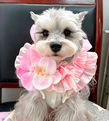 Snowwhite Satin Lace Pet Bib Collar