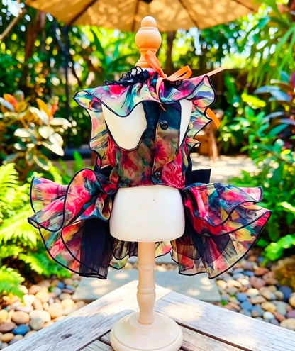 Back view of multicolor floral pet dress with black buttons and ruffled skirt