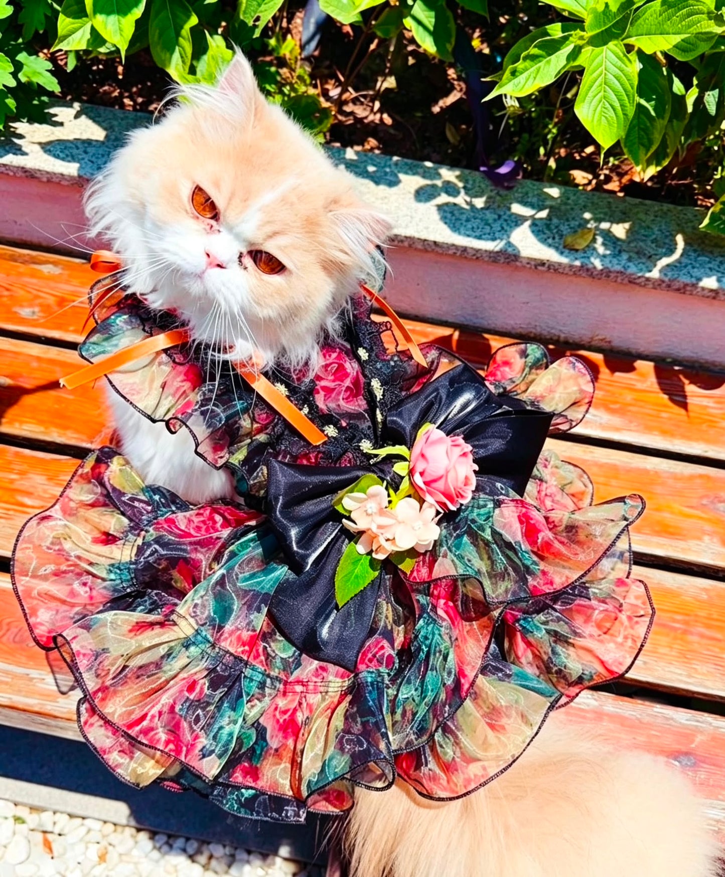 Cat wearing multicolor floral pet dress with dark bow and orange shoulder ribbons