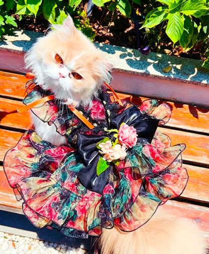 Cat wearing multicolor floral pet dress with dark bow and orange shoulder ribbons