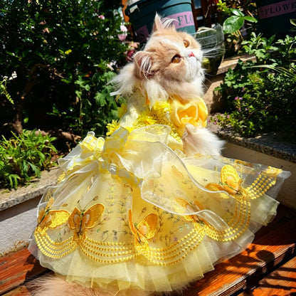 Cat wearing yellow butterfly tulle pet dress outdoors in a garden