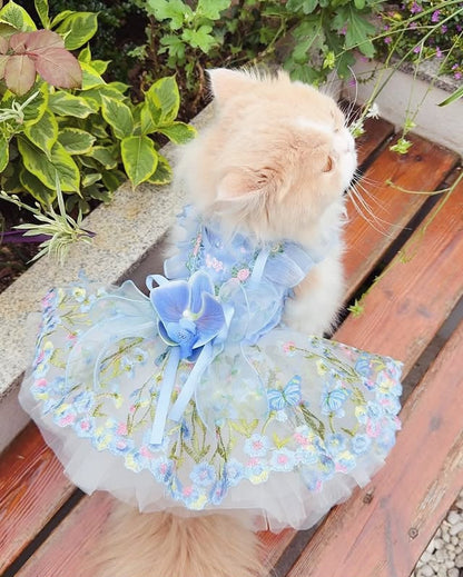 Back view of cat wearing blue butterfly pet dress with flower bow