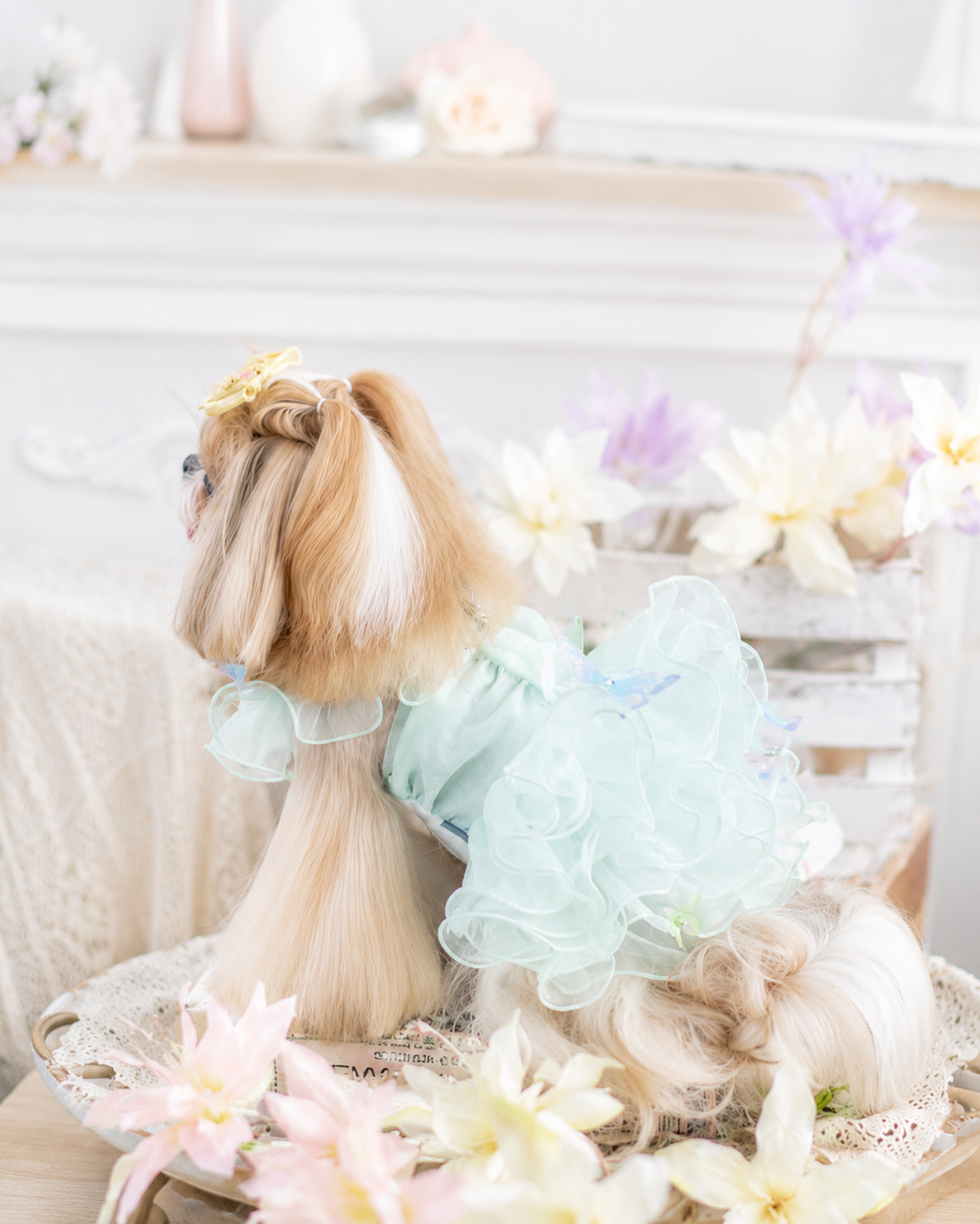 Front view of butterfly fairy pet dresses with rhinestone butterfly centerpiece, floral appliqués, and voluminous princess skirt