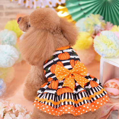 Small dog modeling orange pumpkin print Halloween dress with bow and tiered ruffles