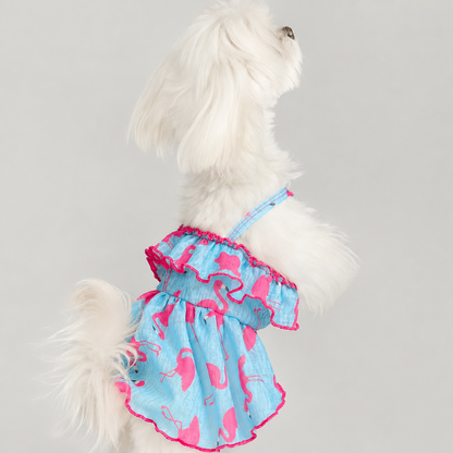 White small dog modeling the blue flamingo print dog dress from the back