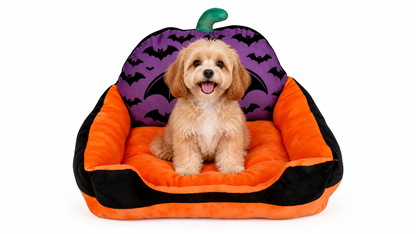 Small dog sitting in orange and black Halloween pet sofa bed with purple bat backrest