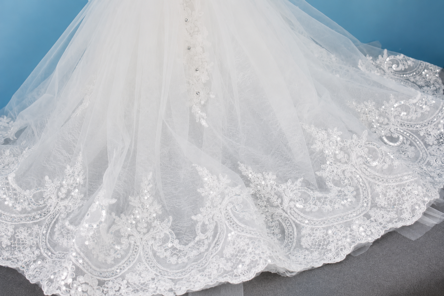 Designer Cathedral Train Dog Bridal Dress