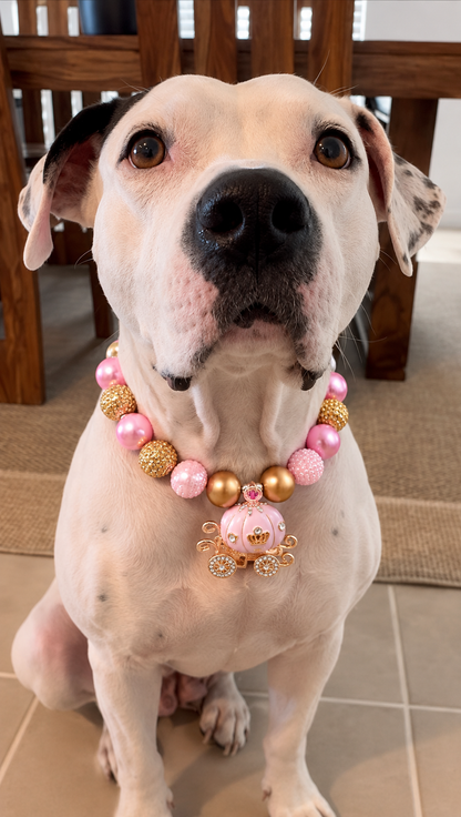 Large white dog wearing pink and gold pumpkin carriage beaded necklace