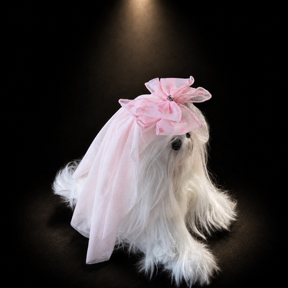 Small white dog wearing pink tulle bow pet veil hair clip with layered mesh ruffles