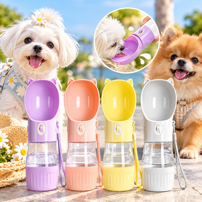 Four color pet travel water bottles displayed with small dogs outdoors