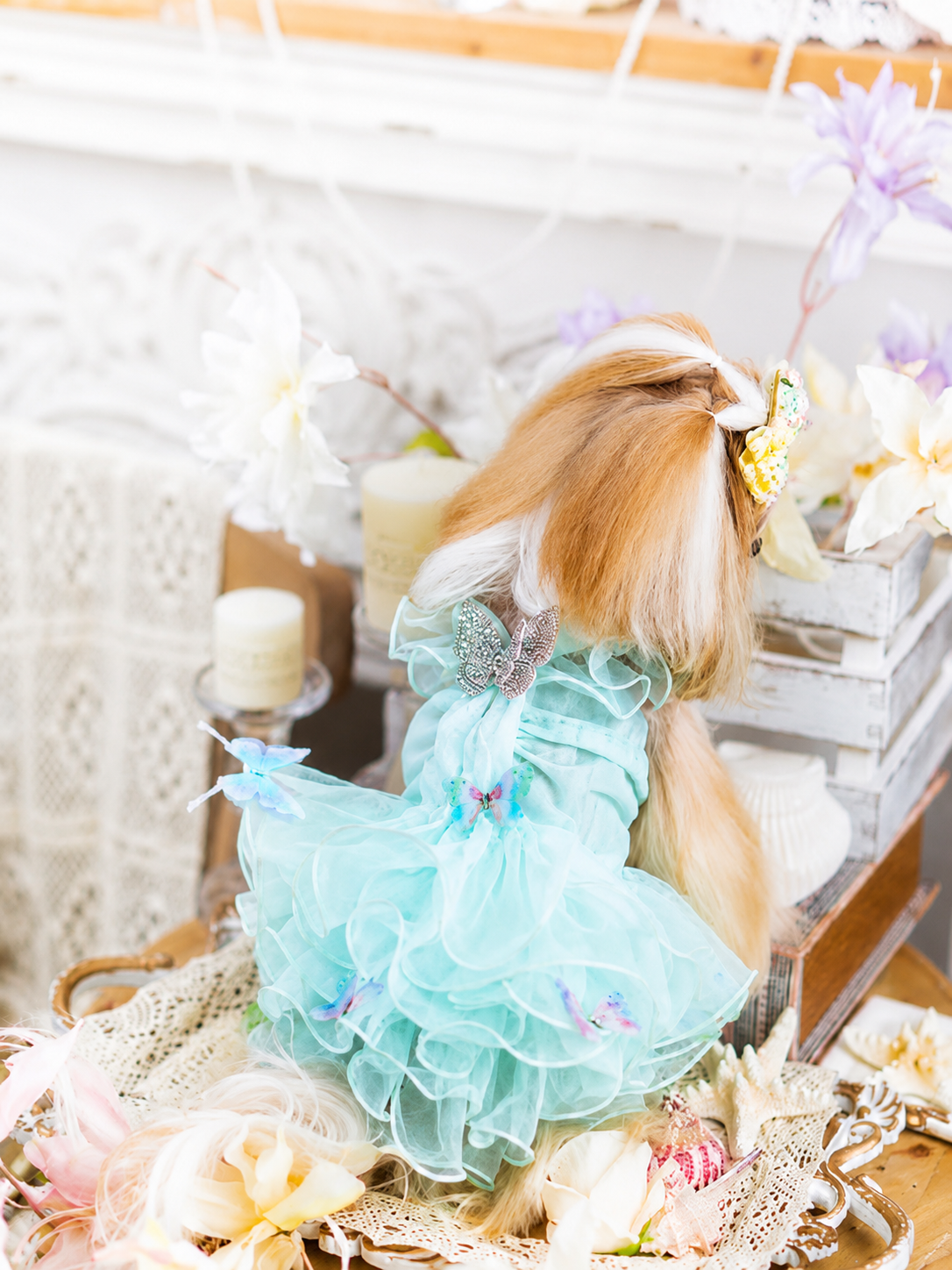 Small dog modeling mint green butterfly princess dress with layered tulle skirt and delicate butterfly accents