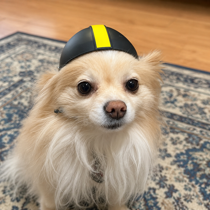 Black or White Pet Bike Helmet