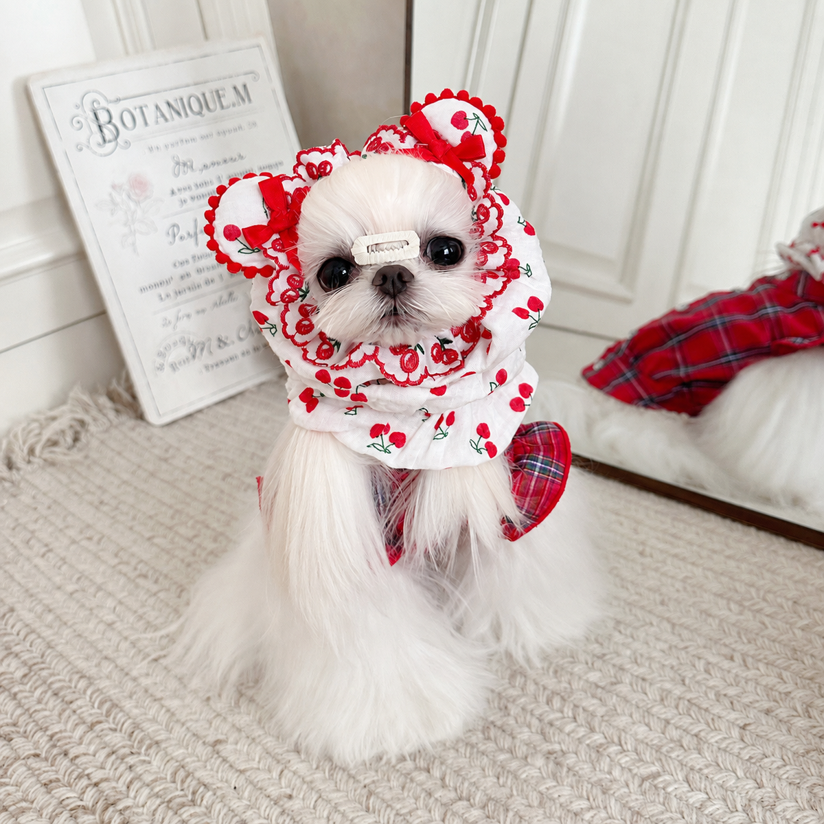 White dog wearing a red cherry-print cotton snood with ear-shaped bows