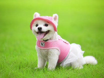 White dog wearing a pink pet sun hat with ear holes and white bow detail