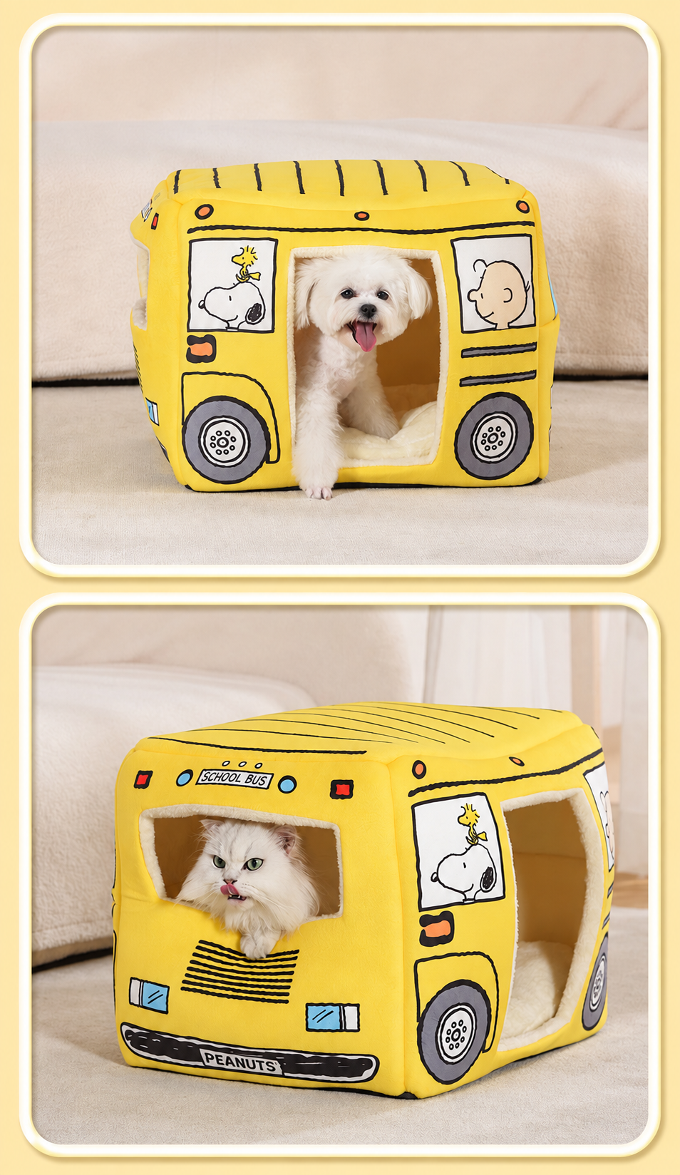 Small dog and white cat using the yellow cartoon bus as an enclosed pet house