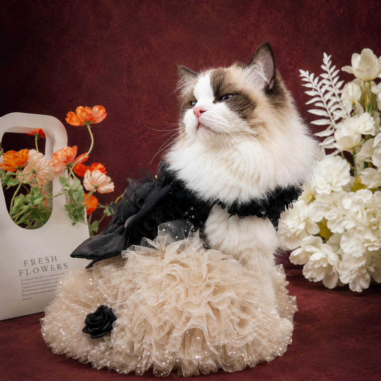 Black Floral Pet Dress for Weddings and Photoshoots
