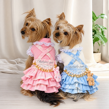 Two Yorkshire Terriers wearing pink and blue denim suspender skirt outfits