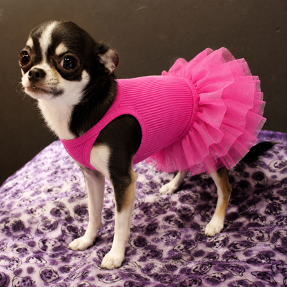 Small Chihuahua wearing hot pink dog tutu dress with layered princess style skirt