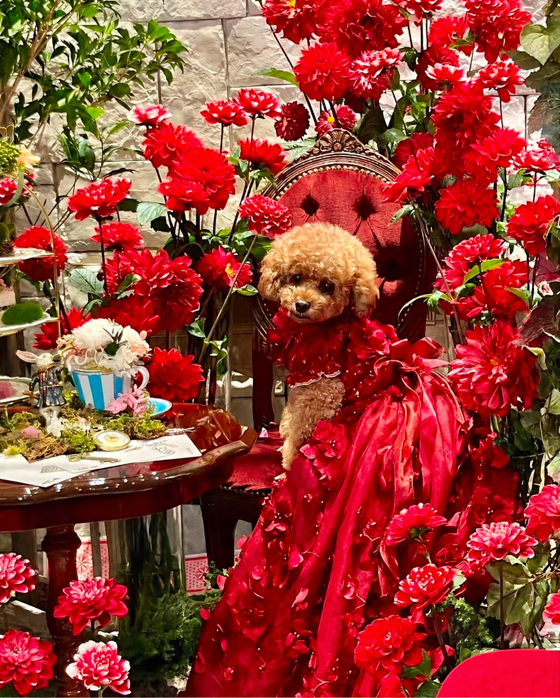 Luxury Burgundy Floral Dog Wedding Dress