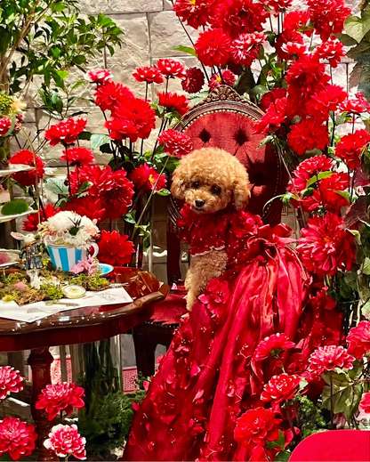 Luxury Burgundy Floral Dog Wedding Dress