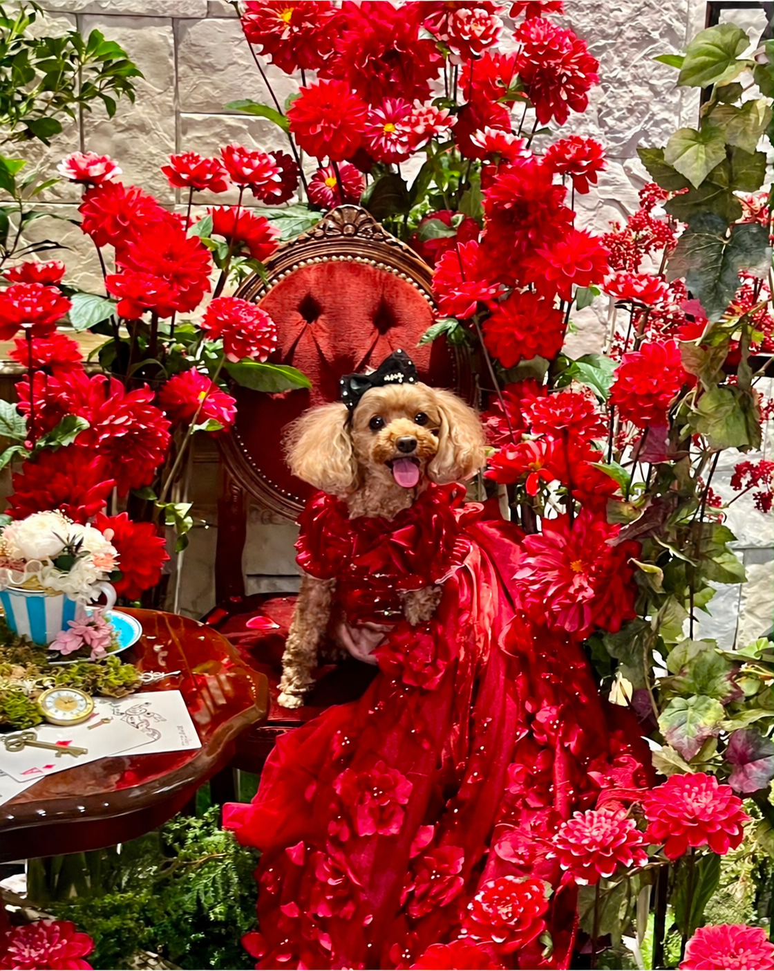 Luxury Burgundy Floral Dog Wedding Dress