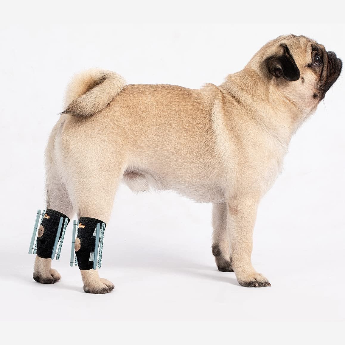 NeoAlly 3-in-1 Short Rear Leg Hock Brace for Smaller Dogs with Rigid and Spring Inserts | Safety Reflective Straps [Short Version] (Pair)