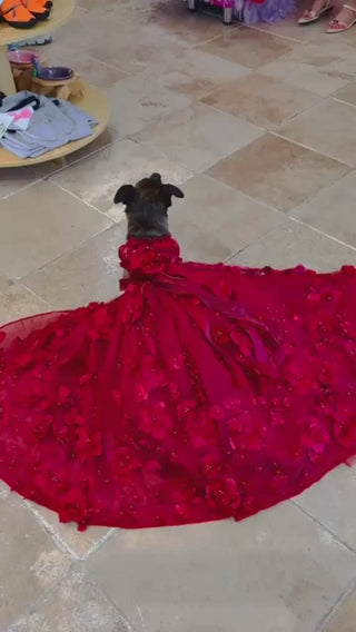 Luxury Burgundy Floral Dog Wedding Dress