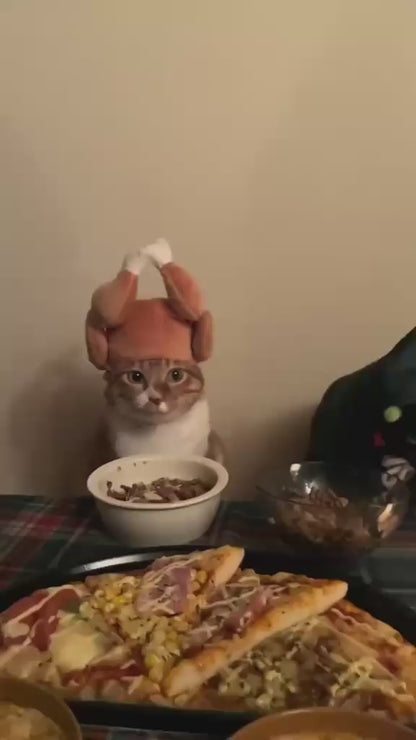 Roast Turkey Pet Hat