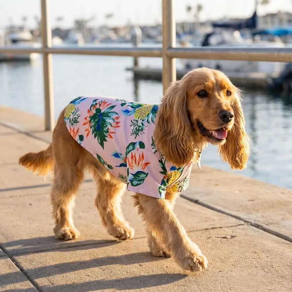 Hawaiian Pet Beach Shirt – Tropical Print Summer Outfit