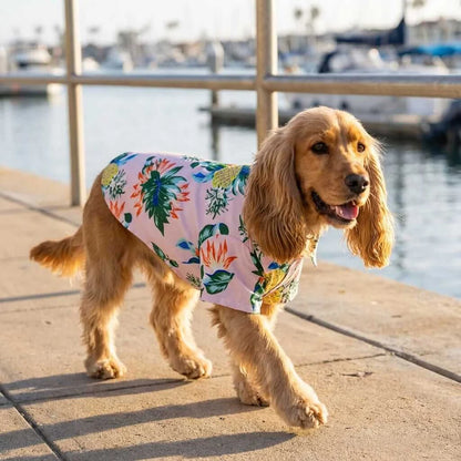 Hawaiian Pet Beach Shirt – Tropical Print Summer Outfit