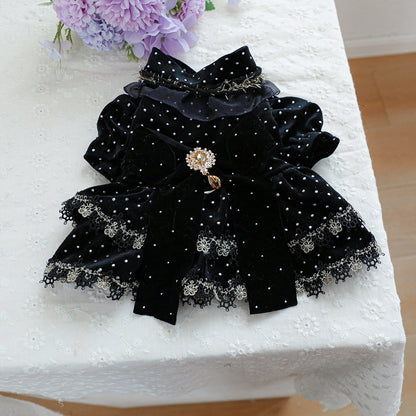 Pet dress black velvet golden dot